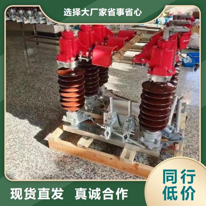 高压隔离开关GW4A-110IIDW/1250A