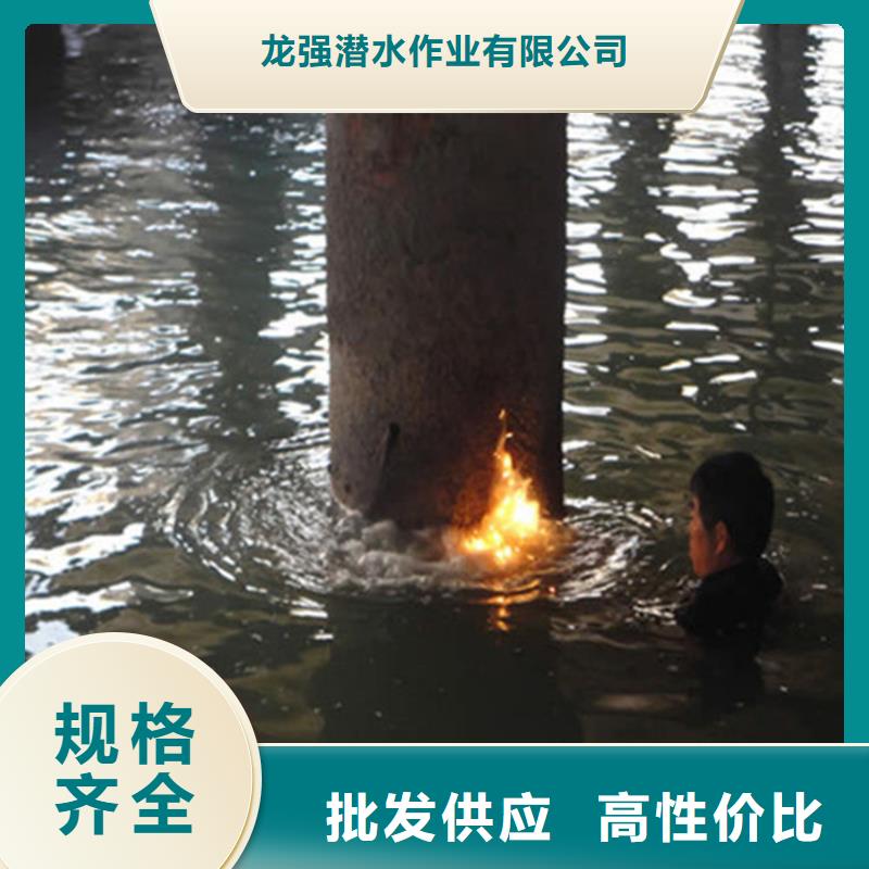温州市蛙人打捞队(打捞救援/专业打捞队)