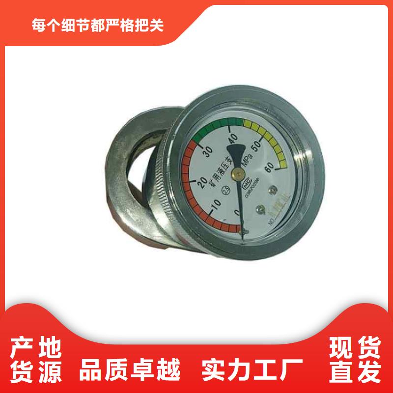 单体支柱测压仪【顶板离层仪】款式新颖