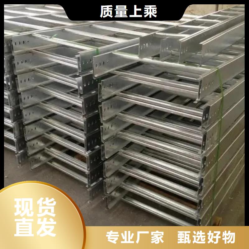 支持定制的镀锌电缆桥架	公司