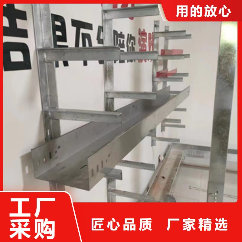支持定制的镀锌电缆桥架	公司