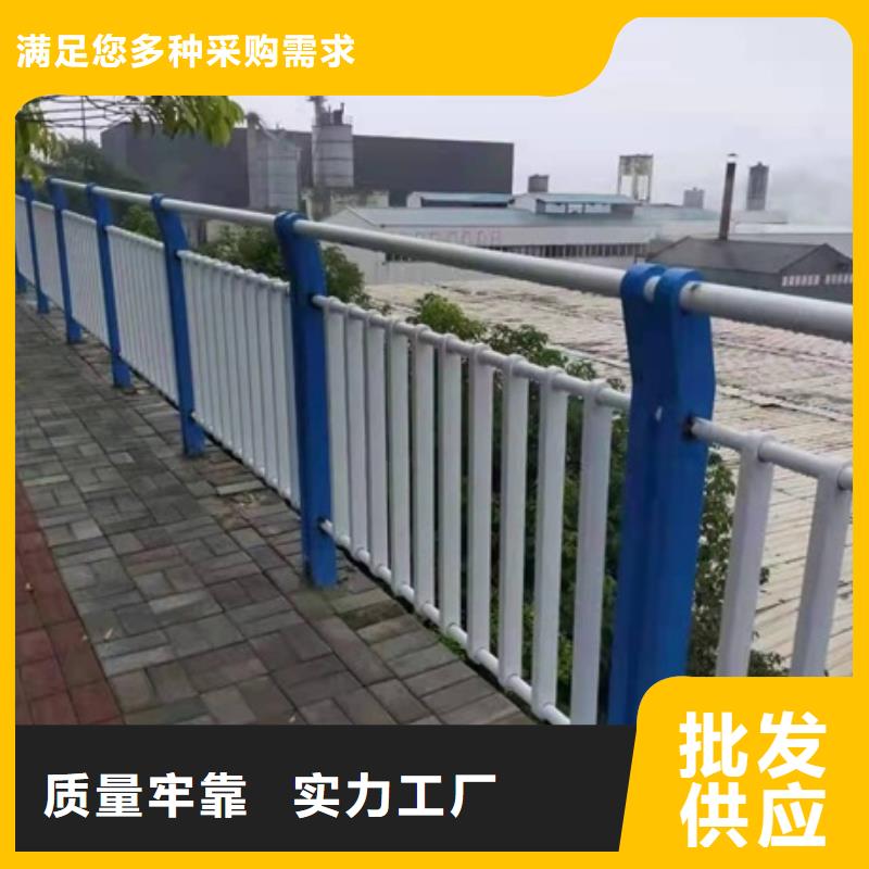 供应批发不锈钢复合管道路护栏-全国配送
