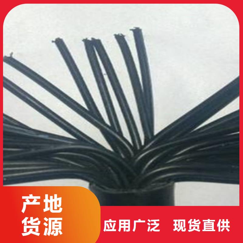 快速:ZR-PVVP-5阻燃电缆厂家