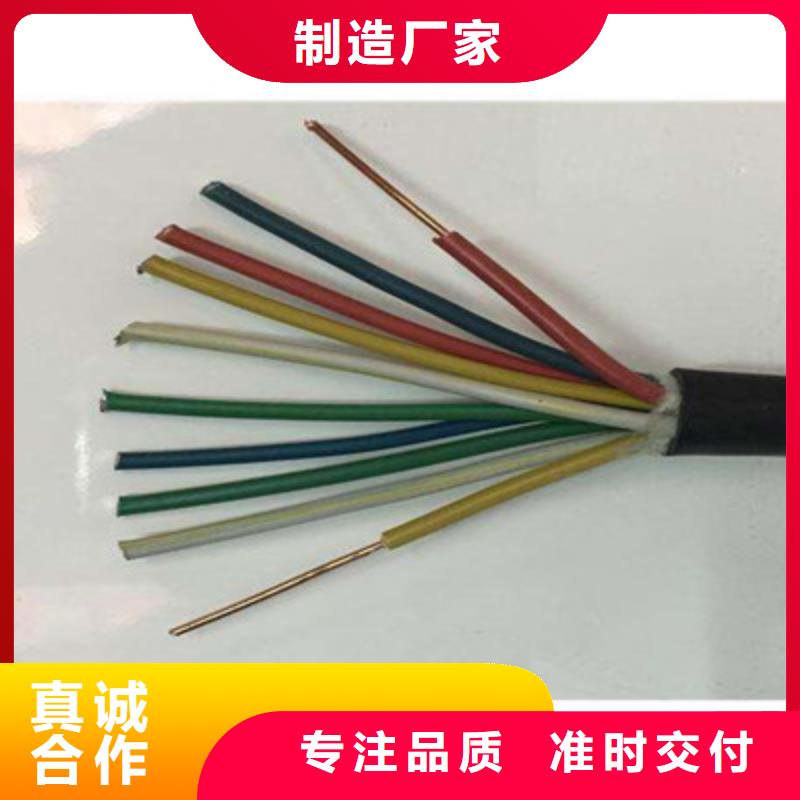 WDZ-J-Y(st)YH2X2X0.8通讯电缆厂家