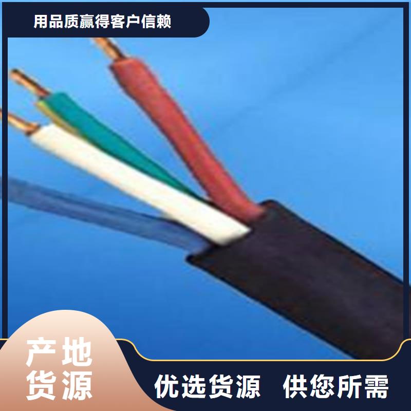 阻燃温计算机电缆、阻燃温计算机电缆厂家直销-诚信经营