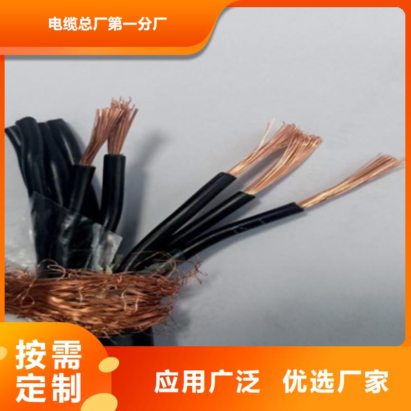 现货供应ZR-CHYVRP821X2X1.0阻燃电缆_品牌厂家