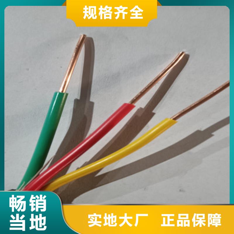 专业销售阴极保护电缆HMWPE1X10-保量