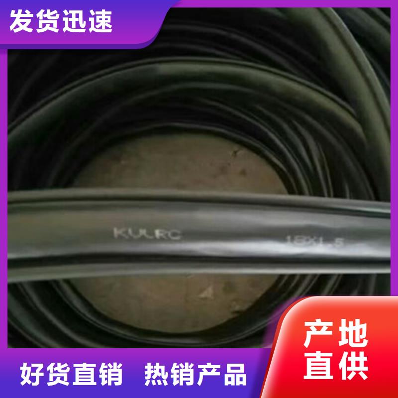 批发计算机电缆阻燃型ZR-DJYVP2X1.5的当地厂家