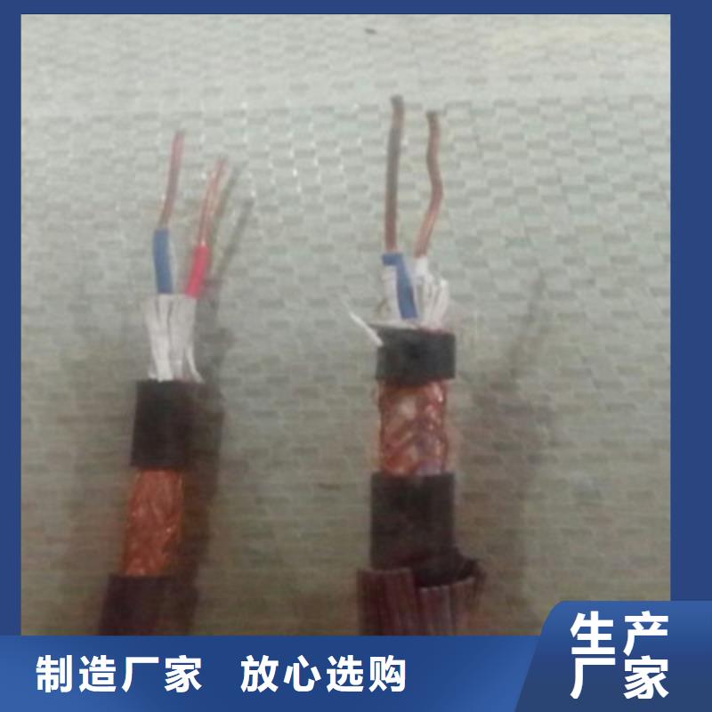 DJYPVP2X2X1.0计算机用电缆服务至上