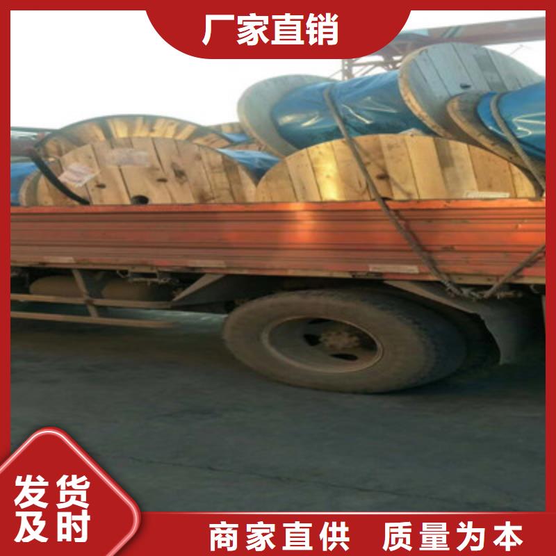 矿用橡套电缆MYQ-2X16