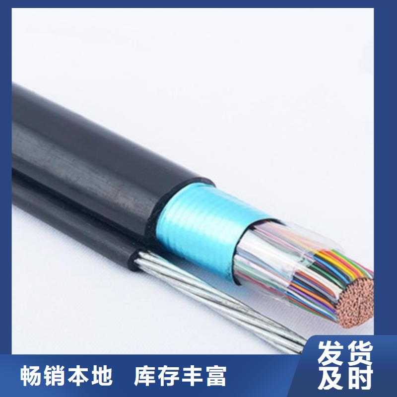 铠装DP通讯线产品介绍