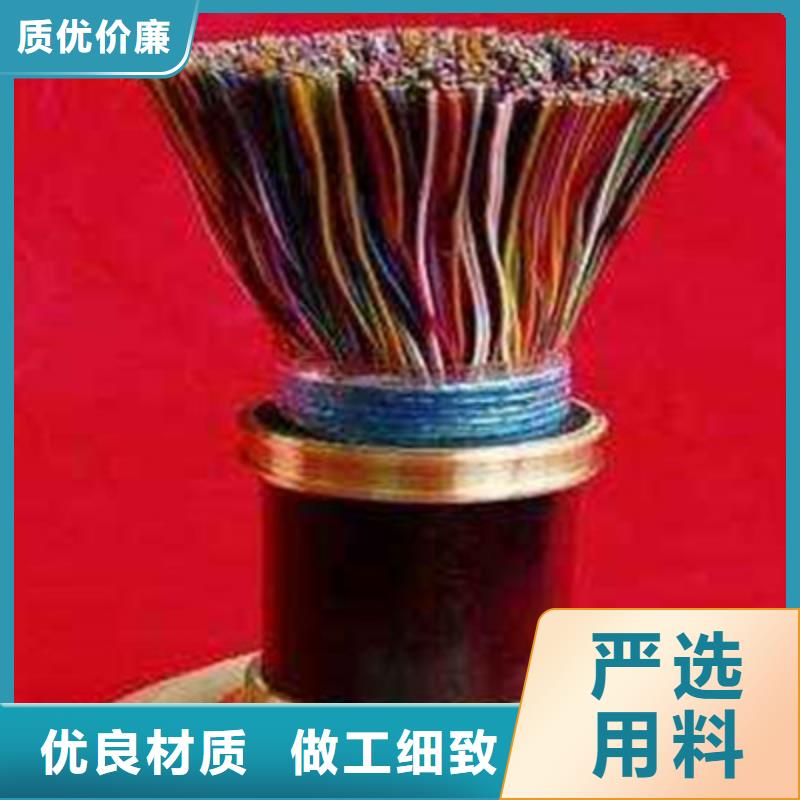 RS485-22铠装通讯电缆在线咨询