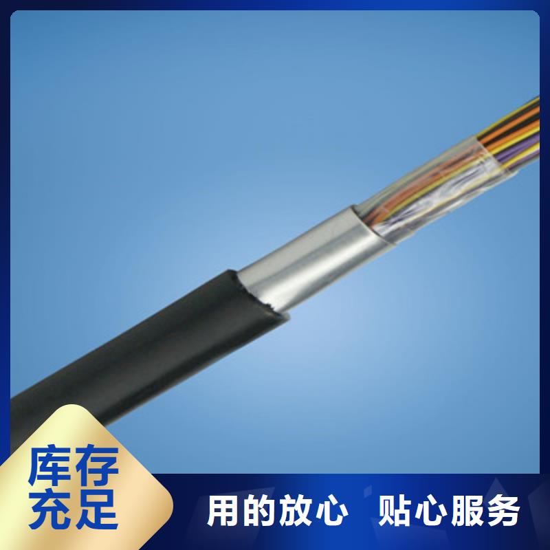 呼叫通信电缆HJYJV/SA全国配送