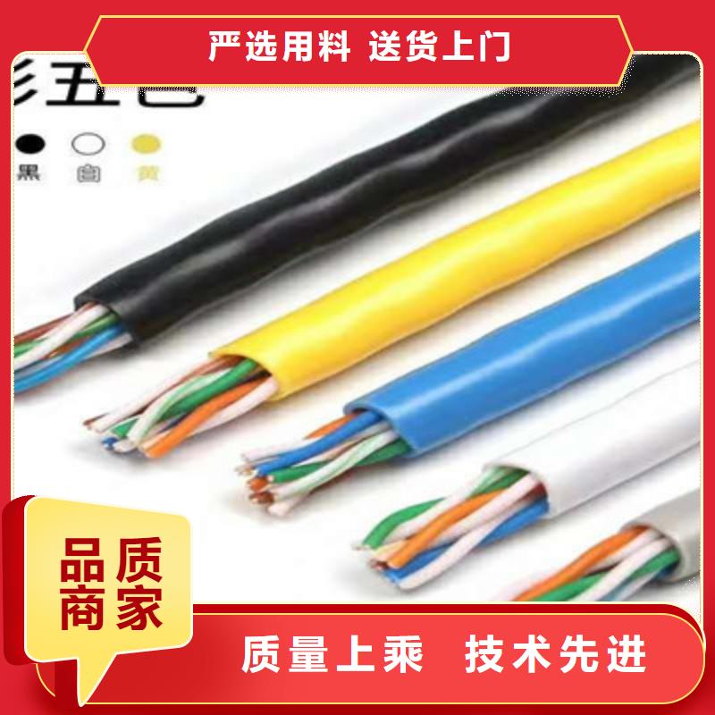 双绞线缆BN-IJJYVLURP32信息