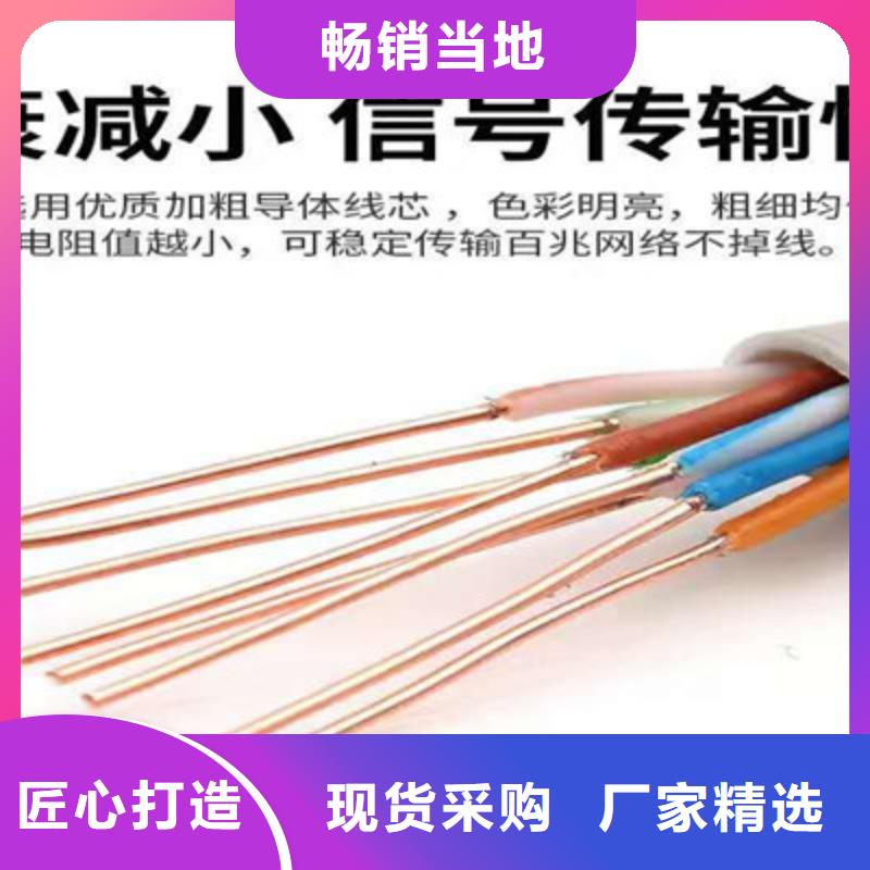 RS485-22铠装通讯电缆1对0.3