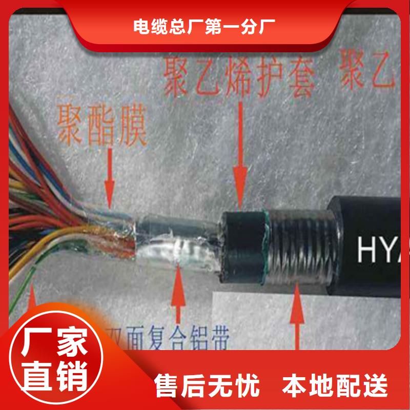 RS232/RS485通讯电缆欢迎电询
