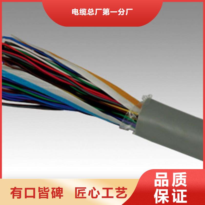 阻燃通讯电缆ZR-FB-HPVP6对2.5
