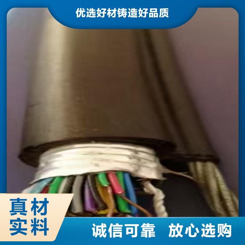 铠装DP通讯线产品介绍