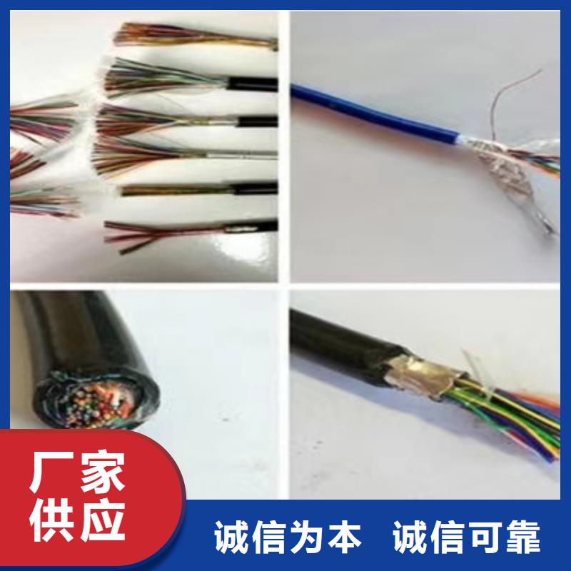 RS485-22铠装通讯电缆1对0.3