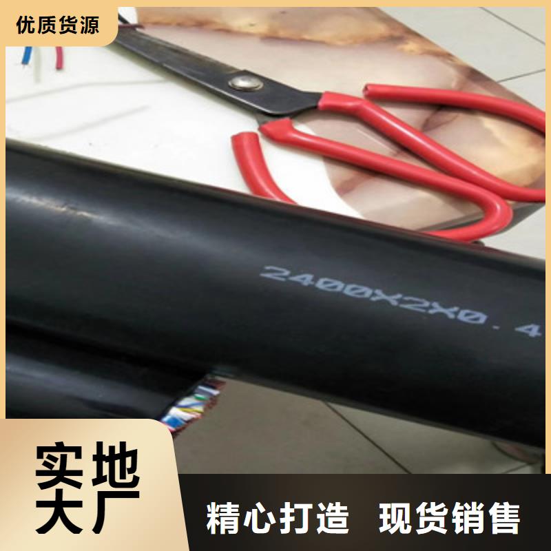 屏蔽通讯电缆GS-HRRVSP现货充足