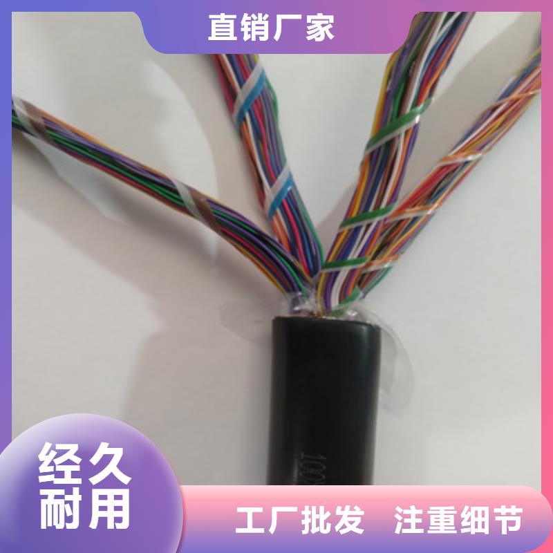 1419A通讯电缆5X2X0.3