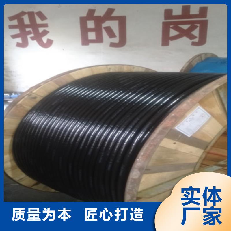 阻燃通讯电缆ZR-FB-HPVP种类齐全