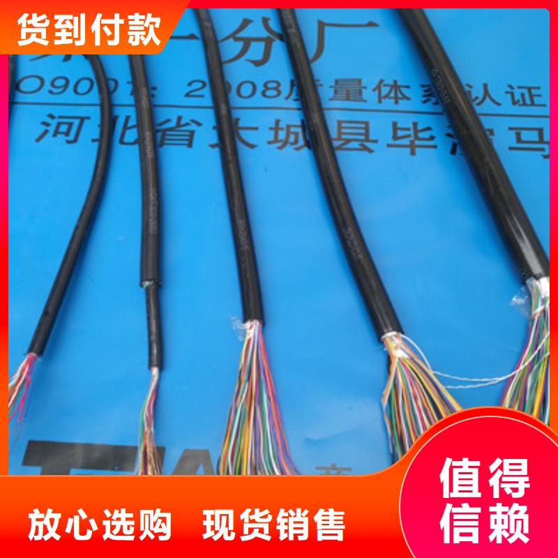 PROFIBUS通讯电缆4对1.0