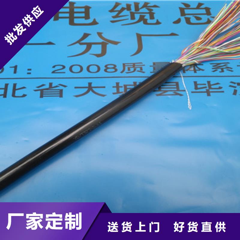 铠装DP通讯线在线咨询