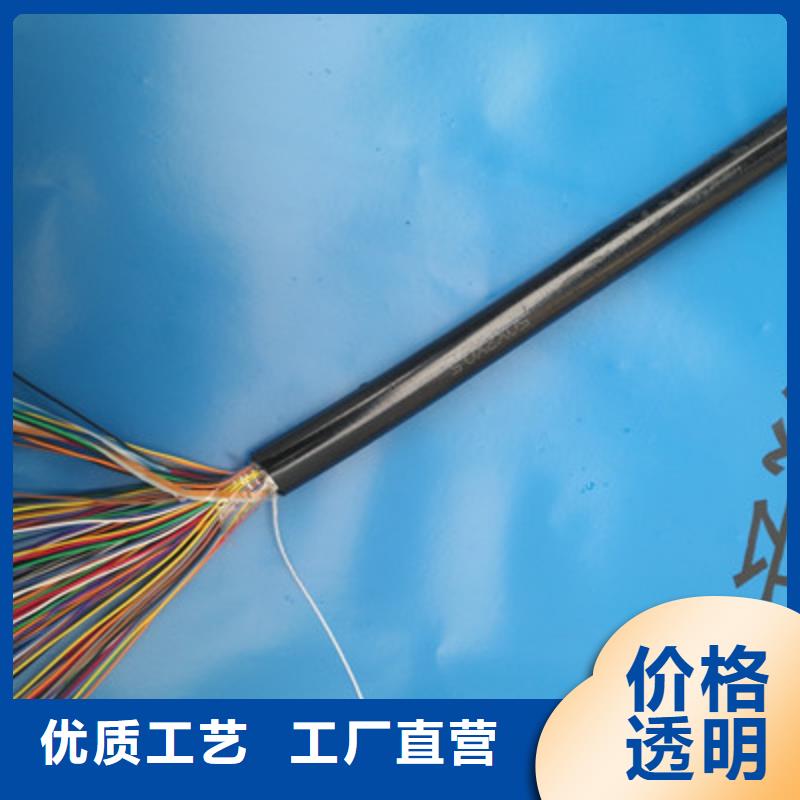 RS485-22铠装通讯电缆1对0.3
