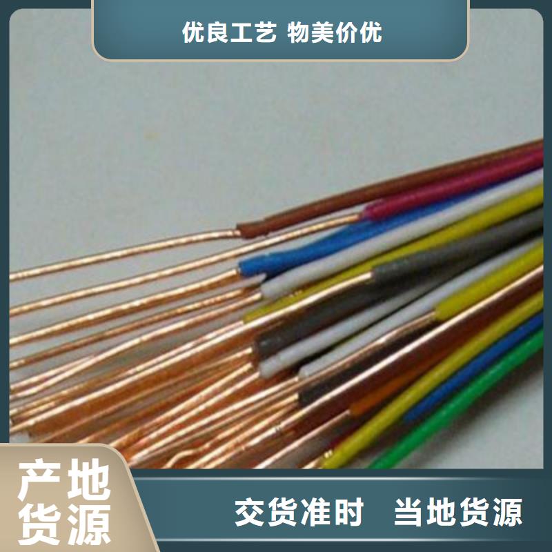 RS485-22铠装通讯电缆1对0.3