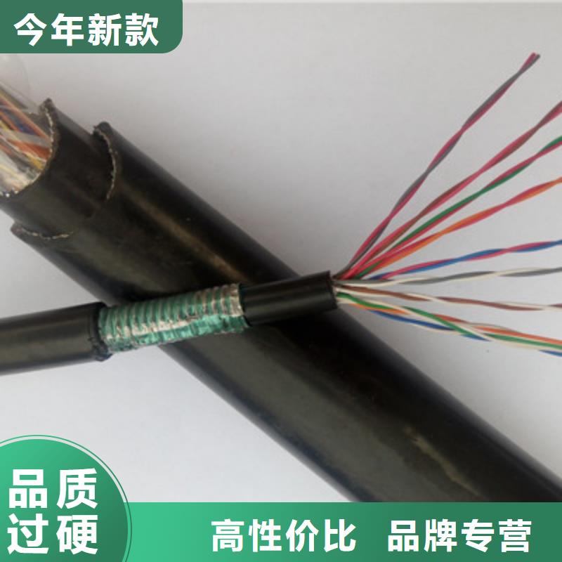 阻燃铠装屏蔽网线ZRA-HSGWPP22放心购买