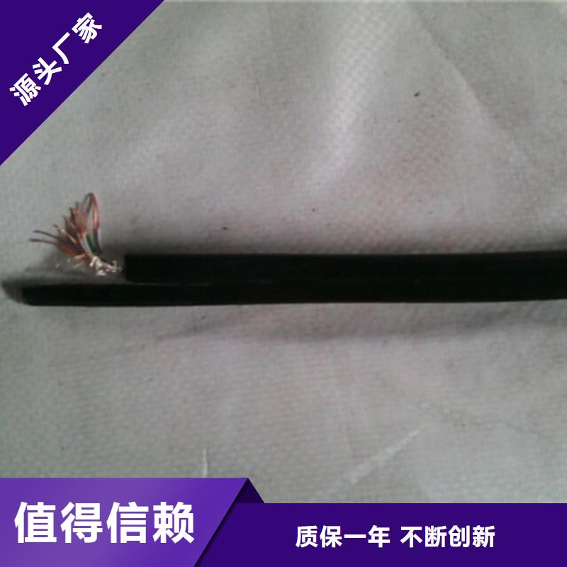 HAPVPSX双绞通讯电缆型号全