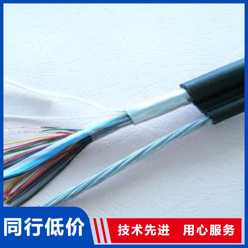 RS485-22铠装通讯电缆1对0.3
