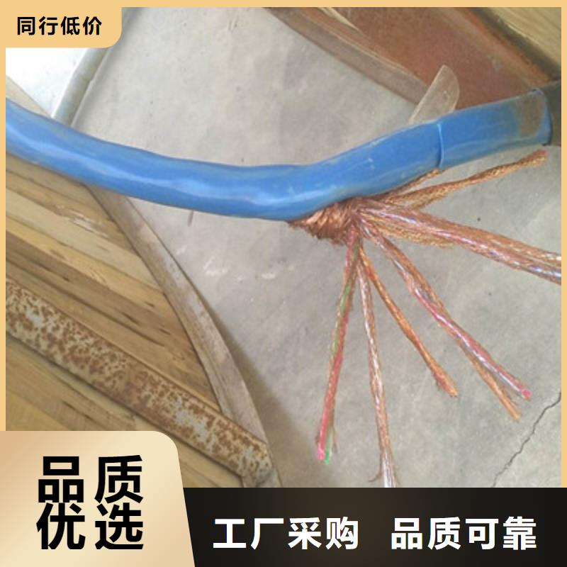 耐火计算机电缆NH-DJVVP3-224X2X2.5
