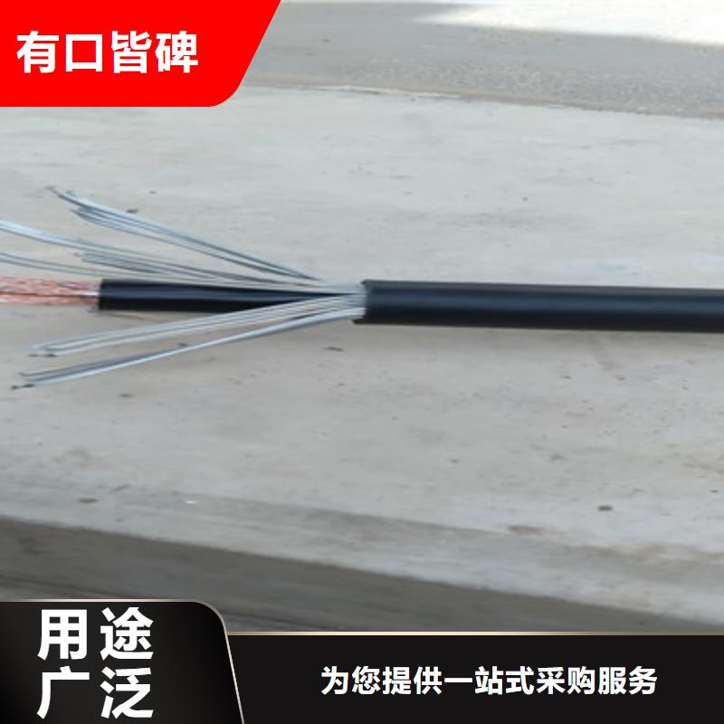 计算机电缆信号电缆品质服务诚信为本