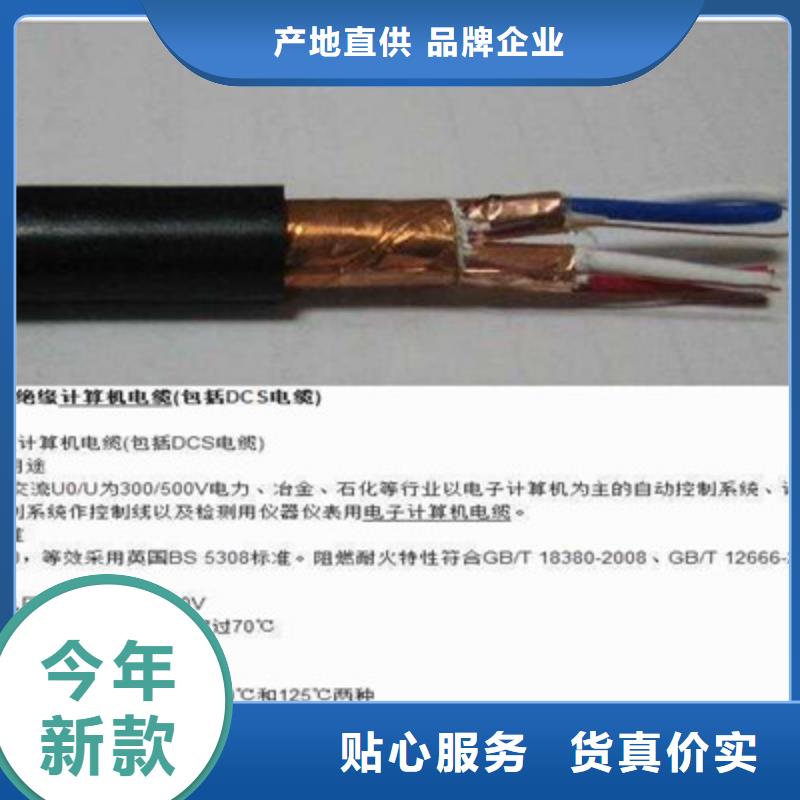 阻燃计算机电缆ZR-DJYPVP行内优选