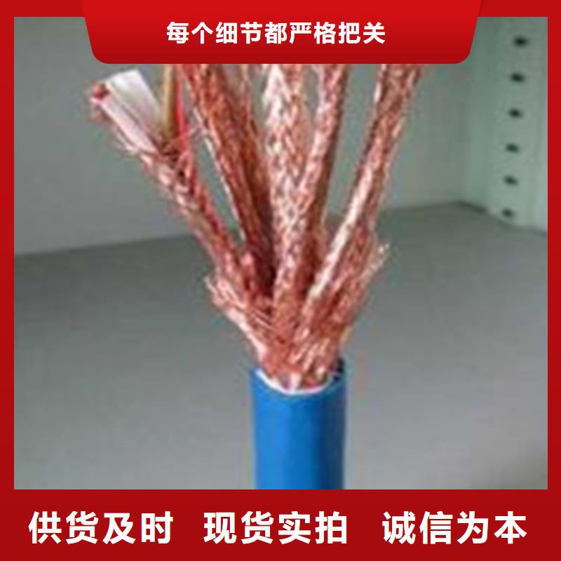 计算机屏蔽电缆DJVP3VR来厂考察