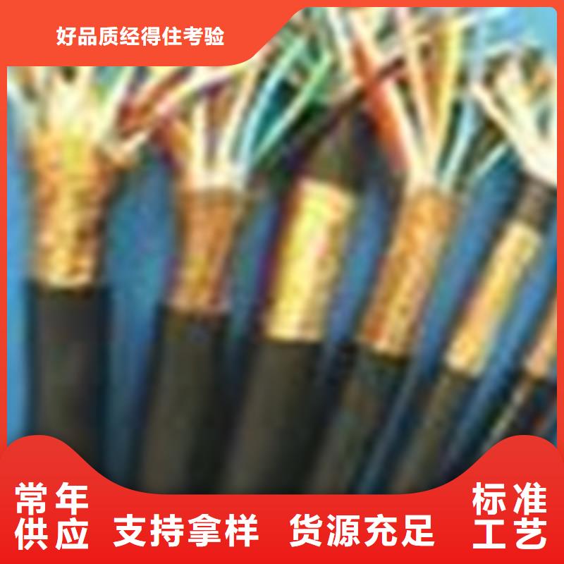 耐火计算机电缆NH-DJYJVP222X2X0.75
