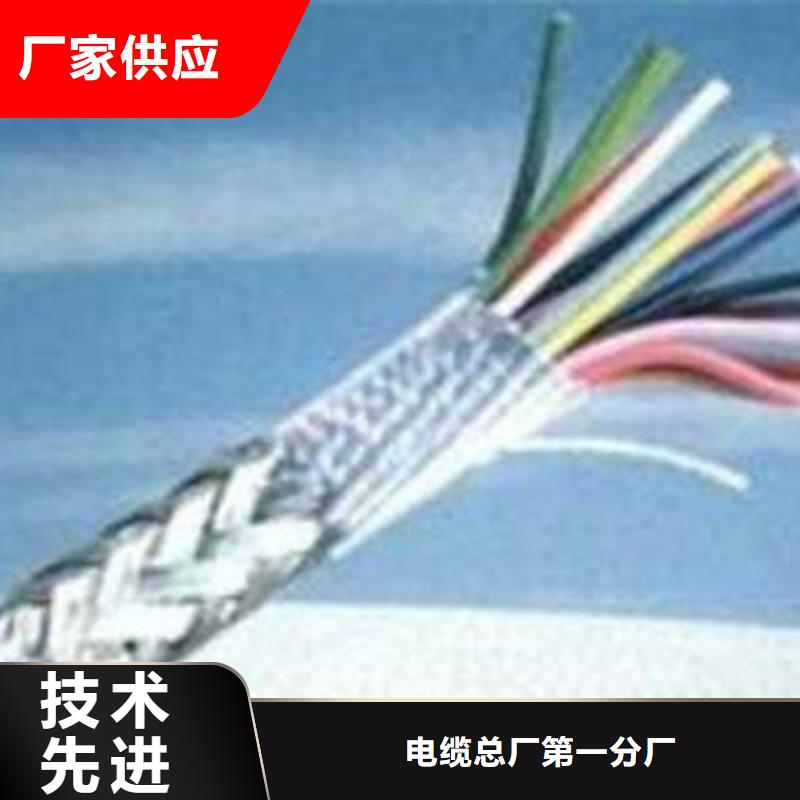 耐火计算机电缆NH-DJYVP34X2X1.0