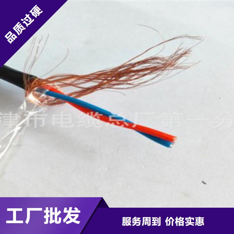 计算机屏蔽电缆BIA-JYPV-2R品质有保障