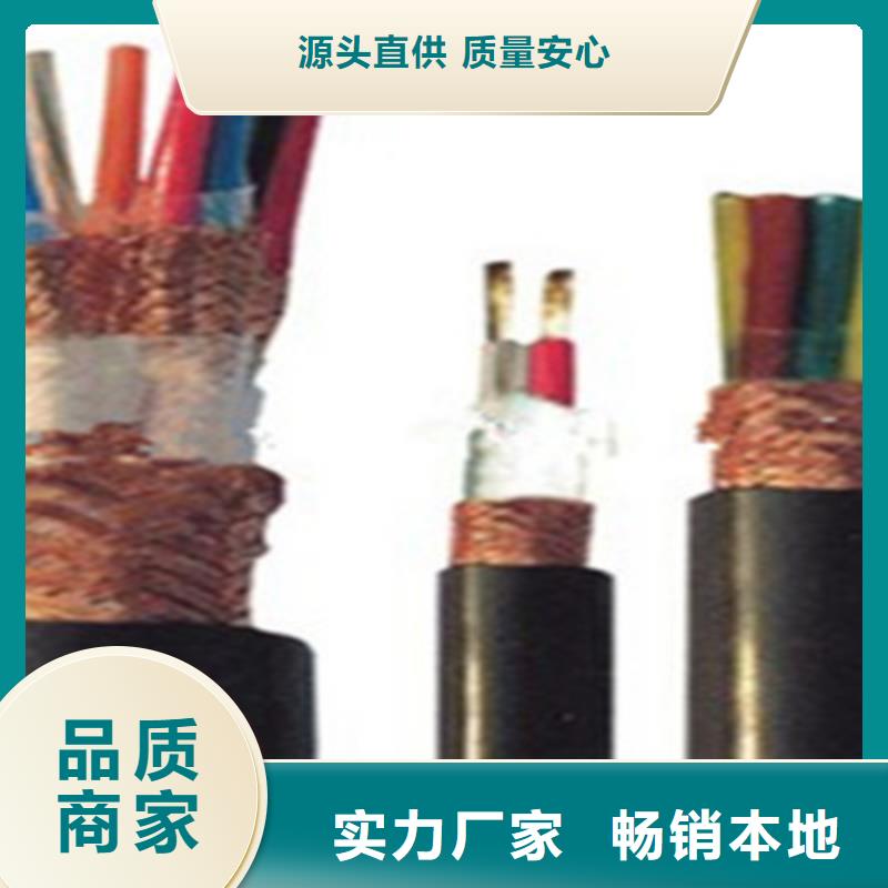 计算机屏蔽电缆DJYJP2V14X2X0.75