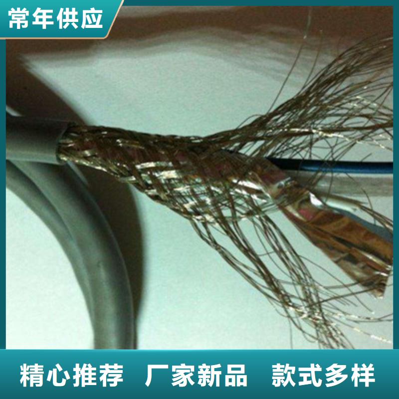 阻燃计算机电缆ZR-DJYJVP生产