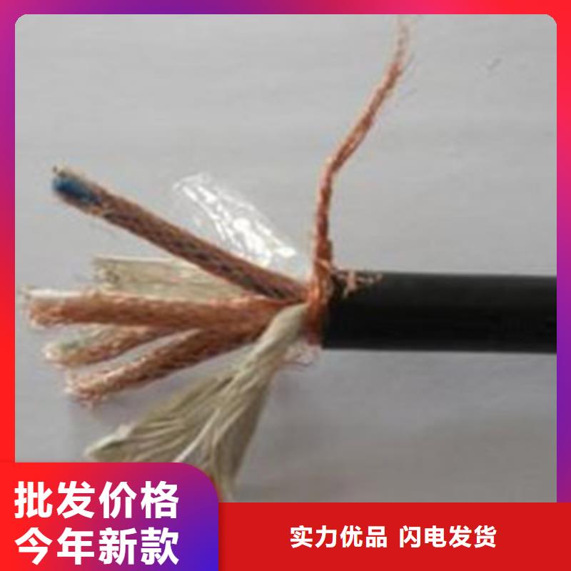 NH-JYPV-ZB耐火计算机电缆2X2X1.0