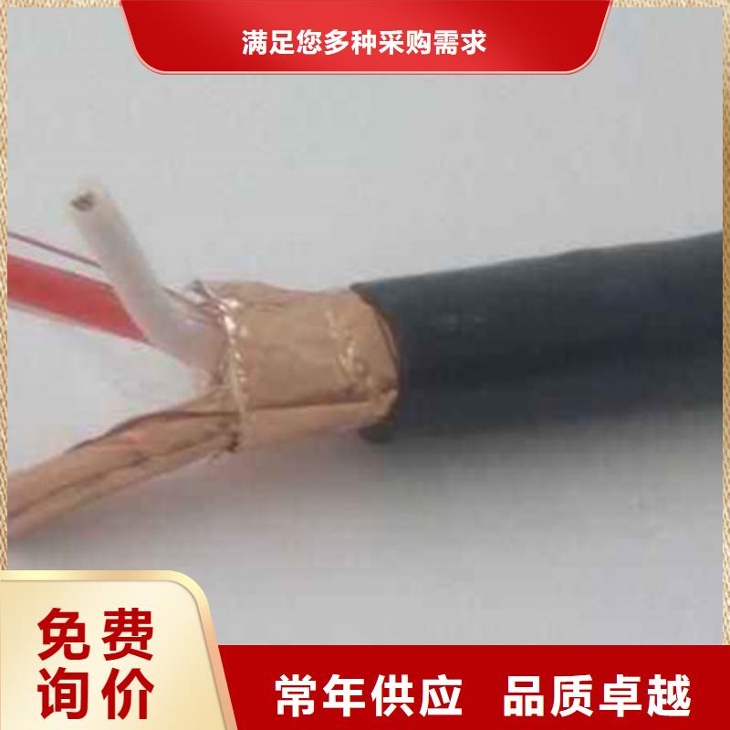 阻燃计算机电缆ZR-DJYPVP行内优选