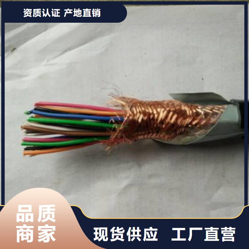 耐火计算机电缆NH-DJVP3VP3R6X2X0.75