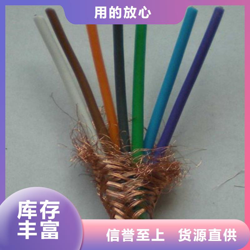 耐火计算机电缆NH-DJYVP34X2X1.0