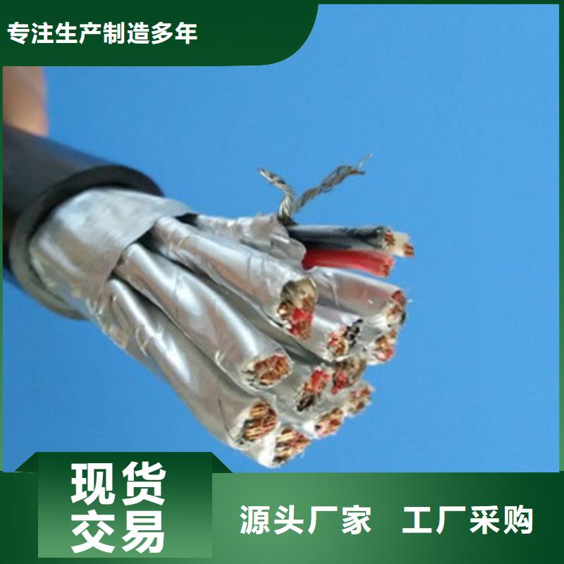 计算机屏蔽电缆DJYPVPR厂家直供