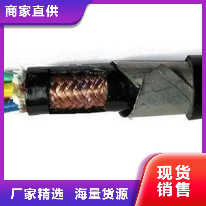 耐火计算机电缆NH-DJVP3VP3R6X2X0.75