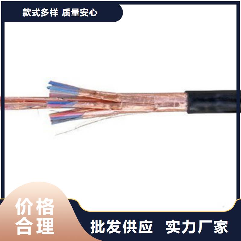 NH-DJVP3VR耐火计算机电缆30X2X2.5