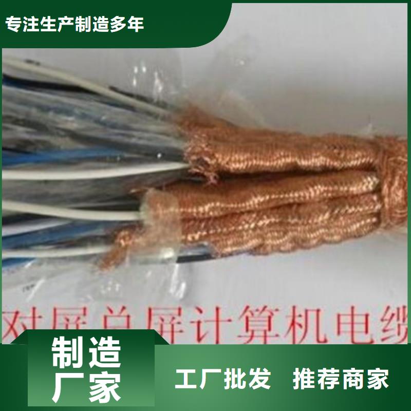 阻燃计算机电缆ZR-DJYJVPR8X2X1.0
